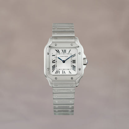 Cartier Santos de Cartier Small White WSSA0082 2026