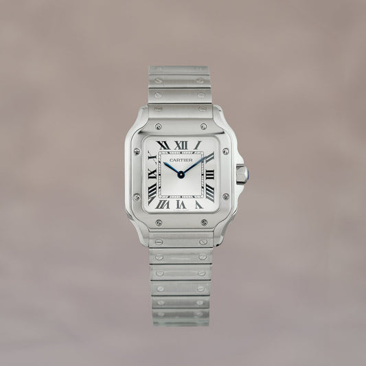Cartier Santos de Cartier Small White WSSA0082 2026