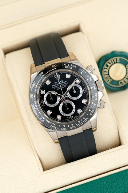 Rolex Daytona 40 White Gold Congo 40mm 116519LN 2022