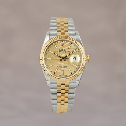 Rolex Datejust 36 Two Tone Yellow Gold Champagne Palm Dial 126233 2023