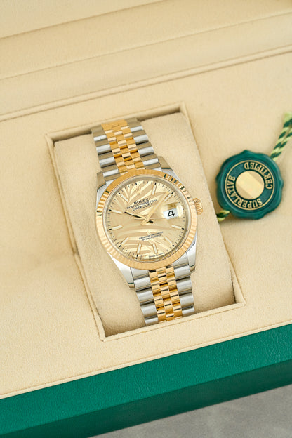 Rolex Datejust 36 Two Tone Yellow Gold Champagne Motif Dial 126233 2023