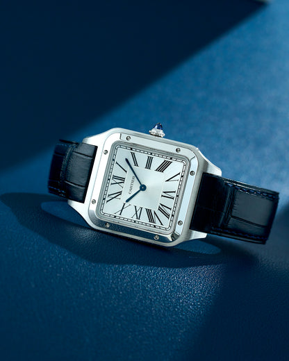 Cartier Santos-Dumont XL Silver Dial WSSA0032 2025 (Brand New)