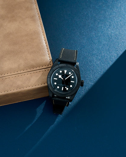 Tudor Black Bay Ceramic Black 79210CNU 2021